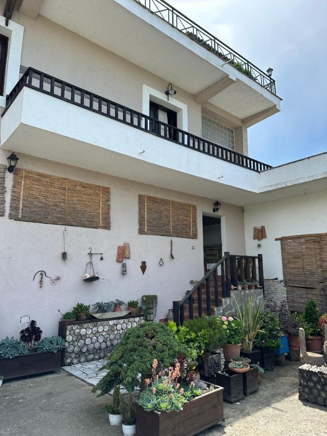 Bed & Breakfast Local Living Edi Berat Exterior photo